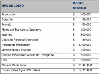 Tabla 10 (Costos Mensuales COLPallets). 
