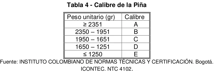 Tabla 4 - Calibre de la Piña 