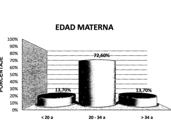 GRÁFICO No  02 