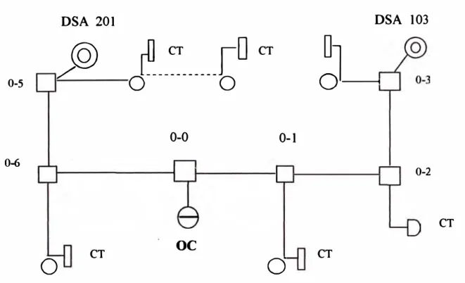 Fig. 1.1.3c Red semi-rígida 