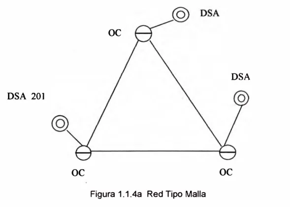 Figura 1.1.4a  Red Tipo Malla 