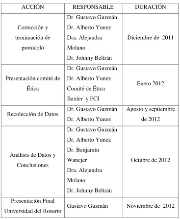 Tabla 2. Cronograma 