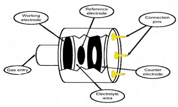 Fig. 3 .5  Partes de sensor electroquímico 