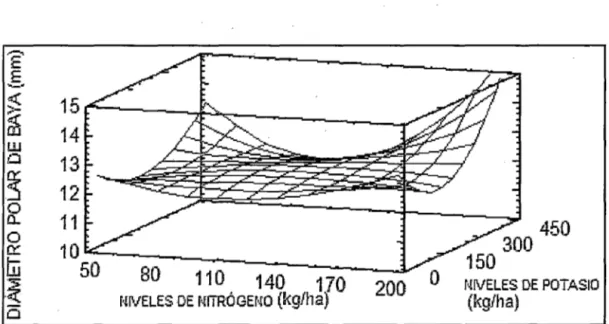 Figura 2. Variación del diámetro polar de baya del cultivar Cabernet  Sauvignon,  con niveles de nitrógeno y potasio