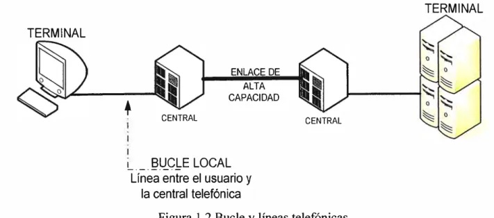 Figura 1.2 Bucle y líneas telefónicas 