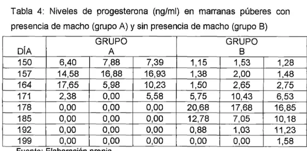 Tabla  4:  Niveles  de  progesterona  (ng/ml)  en  marranas  púberes  con  presencia de  macho (grupo A)  y  sin  presencia de macho (grupo B) 