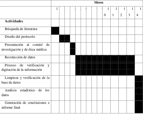 Tabla 5 Cronograma de actividades  