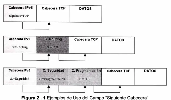 Figura 2 . 1 Ejemplos de Uso del Campo "Siguiente Cabecera" 