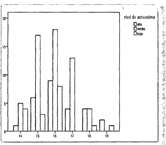 GRÁFICO N° 01 