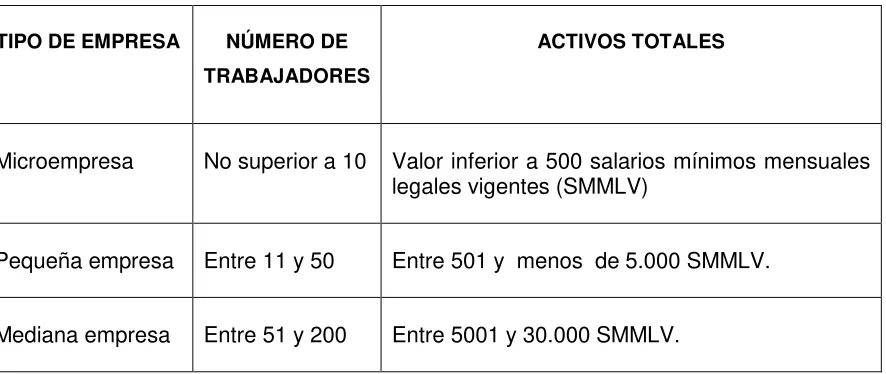 Figura 3.  Parámetros básicos de la Mipyme 