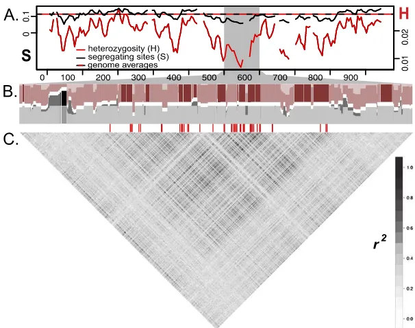 Figure 4.Divergence and association between divergentregion of peak divergence and association identified in the co-mimicsize) subpopulation differentiation (genotype by phenotype association calculated for biallelic SNPs using a Fisher’s exact test for bo