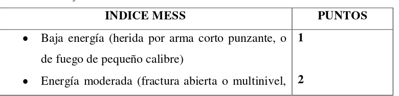 Tabla 4. Clasificación de MESS 