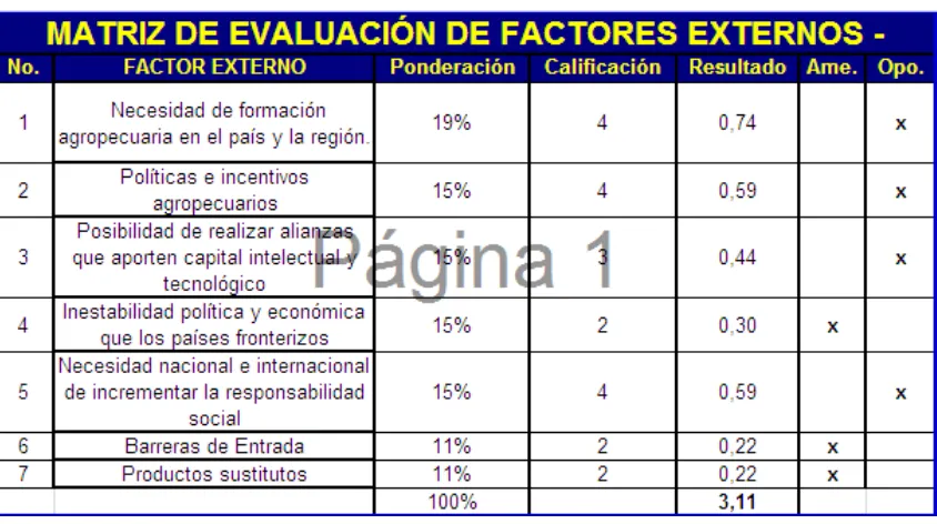 Tabla 9: Matriz MEFE 