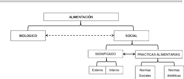 Figura 6. Estructura Grafica del Estudio