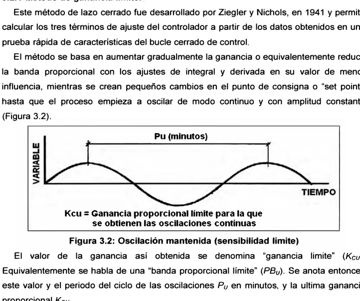 Figura 3.2:  Oscilación mantenida (sensibilidad límite) 