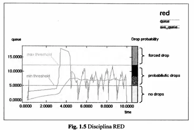 Fig. 1.5 Disciplina RED 