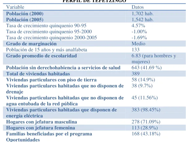 TABLA I. PERFIL DE TEPETZINGO 