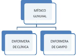 Figura 1  