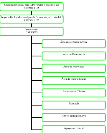 Figura 6  