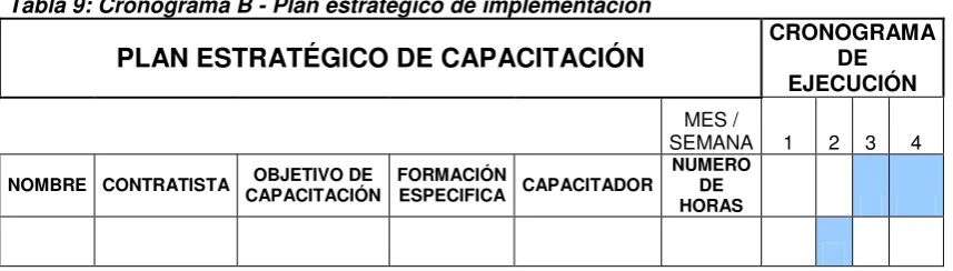 Tabla 9: Cronograma B - Plan estratégico de implementación 