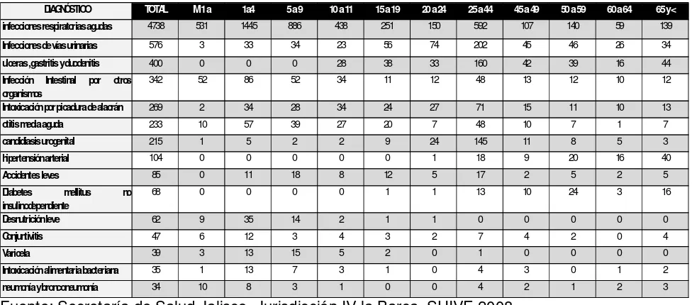 Tabla 1.3 Morbilidad Por grupos de edad, Ayotlán 2008 