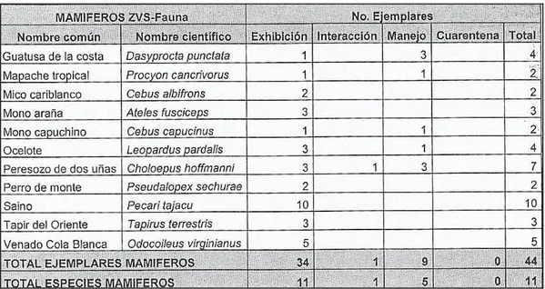 Tabla 11 – Resumen de mamíferos silvestres en custodia del PHG a diciembre del 2012  Fuente: (Parque Histórico Guayaquil, 2012) 