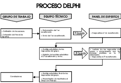 Cuadro 5. Esquema del procedimiento del Panel DELPHI 
