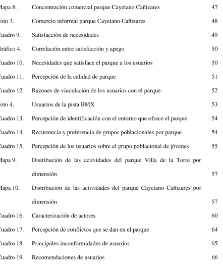 Cuadro 19.  Recomendaciones de usuarios 