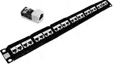 Figura 2.10.- Patch Panel y módulo Jack  Cables puentes: 