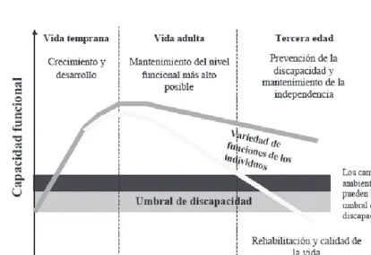 Figura 3. Curva de disminución de la capacidad funcional  en las diferentes etapas de la vida