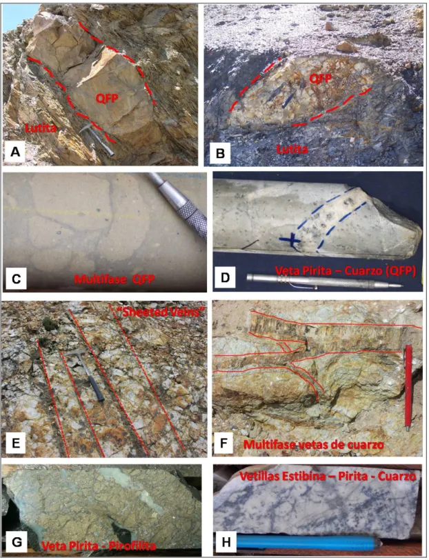 Foto 3.1: Conjuntos de fotografías de tipos de rocas y estilos de mineralización. 