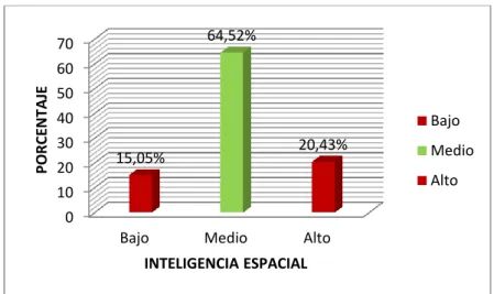 GRÁFICO Nº 06  INTELIGENCIA ESPACIAL 