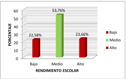 GRÁFICO Nº 11 