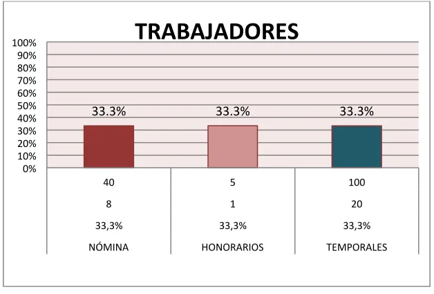 Figura 8 : Trabajadores 