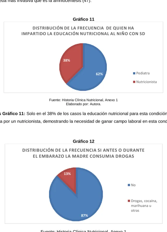 Gráfico 11 