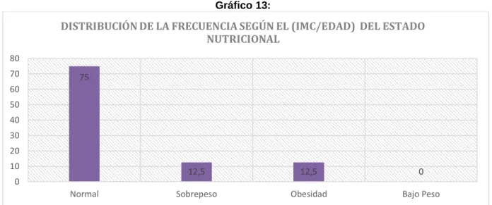 Gráfico 13: 