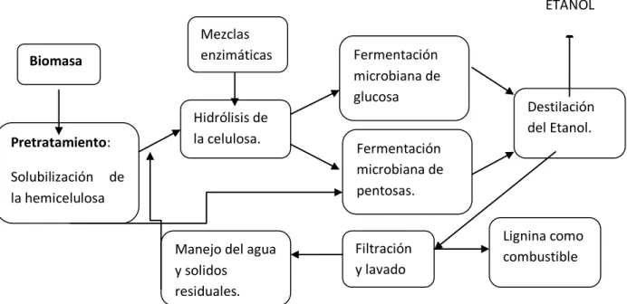 Figura  5:      Pasos  del  proceso  de  producción  de  bioetanol  a  partir  de  materiales lignocelulósicos