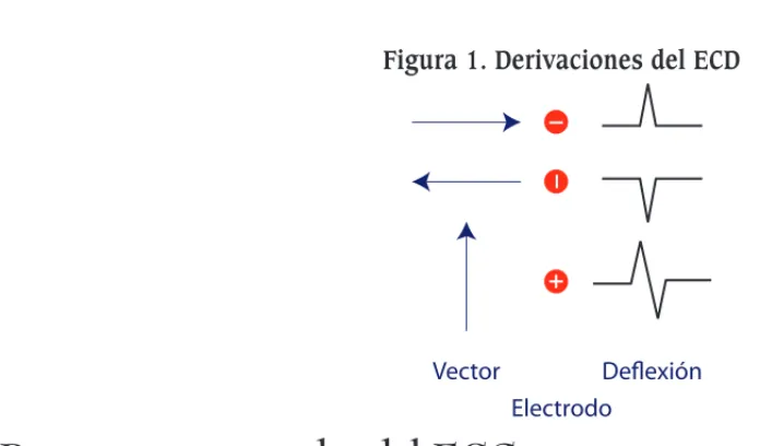 Figura 2. Derivaciones frontales