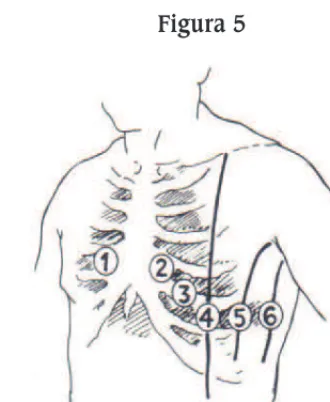 Figura 5