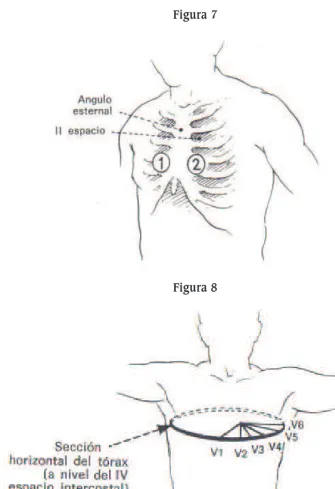 Figura 7