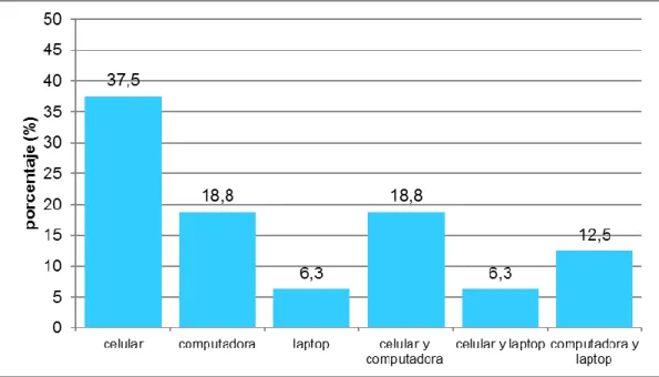 Figura 4. Terminales con acceso a internet 