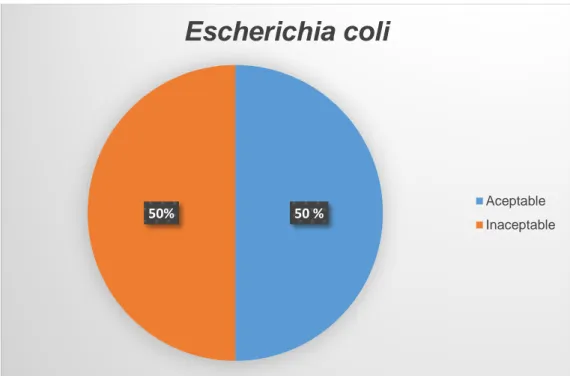 GRÁFICO  03:  Resultados  del  análisis  microbiológico  de  las  bacterias  Escherichia coli para las muestras de ocopas analizados
