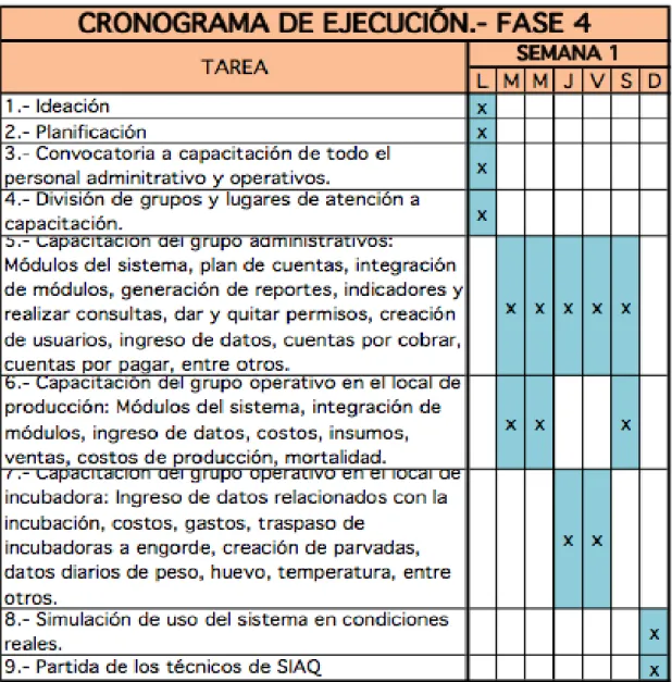 Tabla 8.- Cronograma de ejecución – Fase 4 
