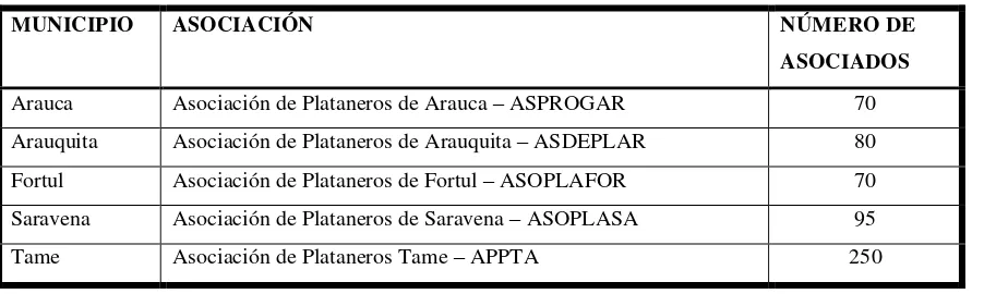 Tabla 1 Asociaciones que componen el Comité Departamental de Plataneros de Arauca