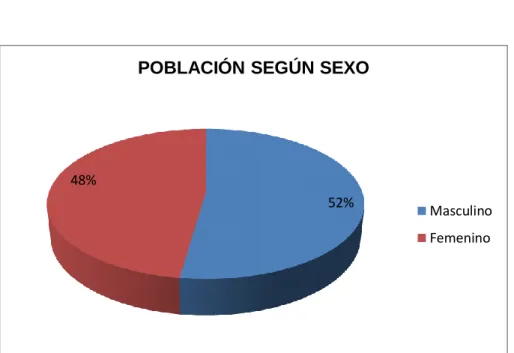 GRÁFICO Nº 1.1 