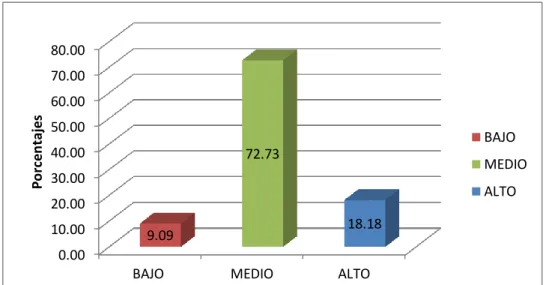 GRÁFICO Nº 3.3 