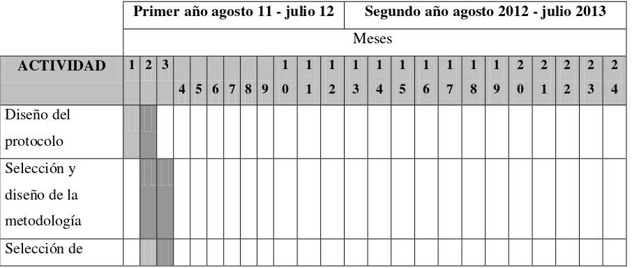 Tabla 2.Cronograma del estudio 