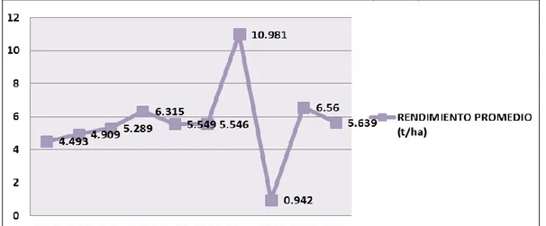 Figura 2. Rendimiento promedio (t/ha) 