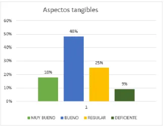 Figura 01 Aspectos tangibles 