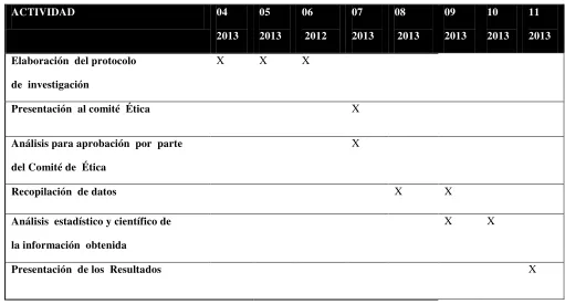 Tabla 9. Cronograma 